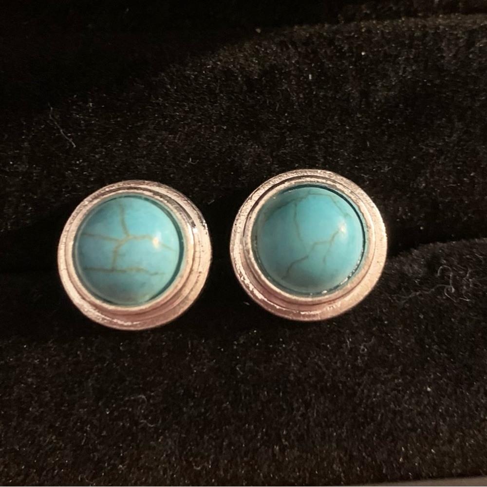 “Jewelry Innovations”  HOWLITE Silver Earrings                      
NWOT